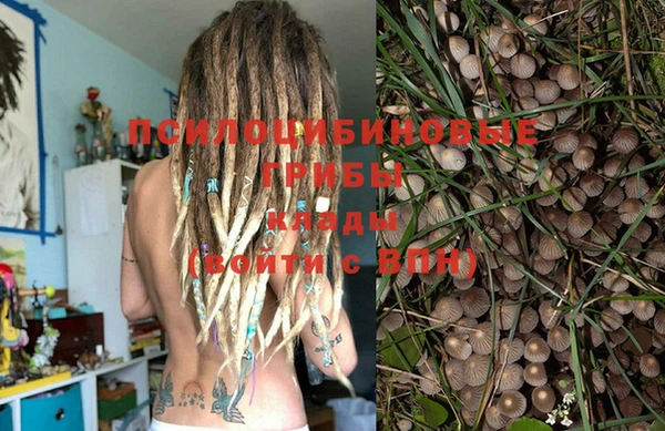 круглые Богданович