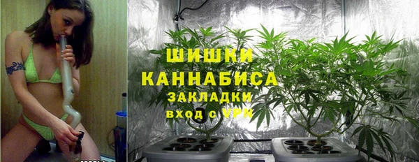 дмт Богородицк