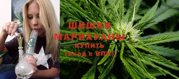 дмт Богородицк