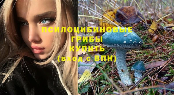 МДПВ Богородск