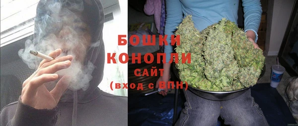 МДПВ Богородск