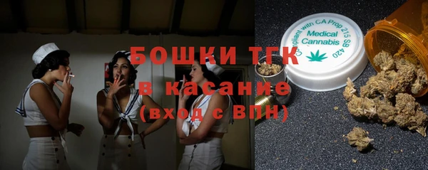 дмт Богородицк